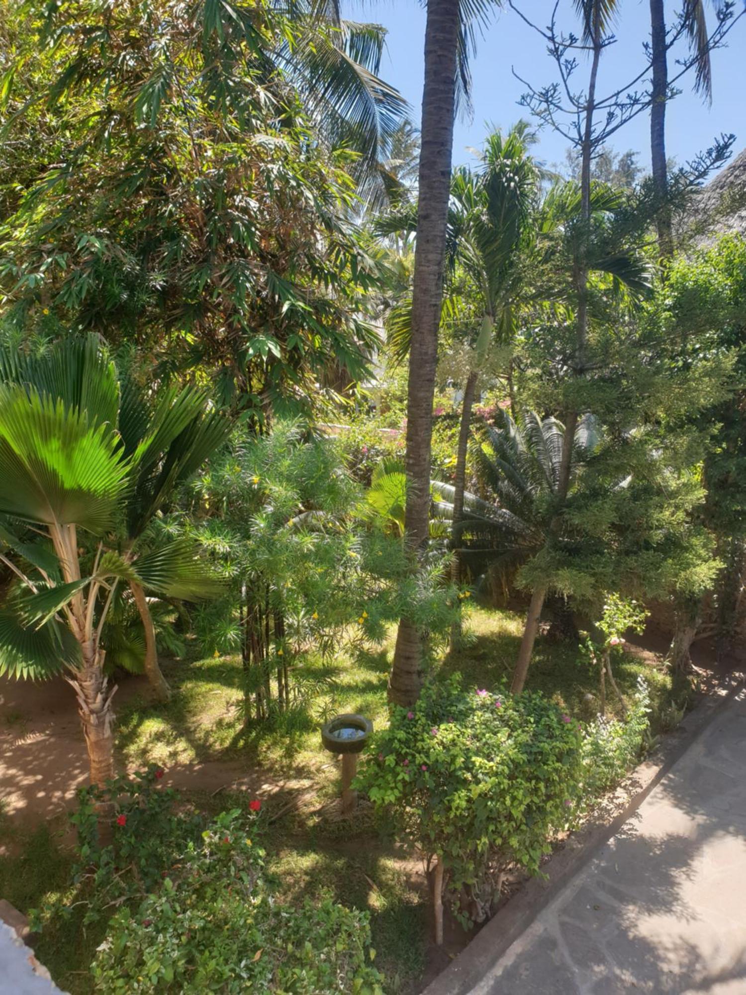 Marijani Holiday Resort Watamu Exterior photo